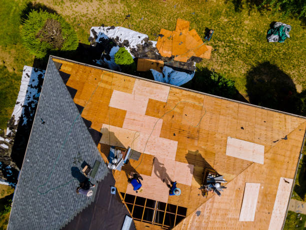 Best Metal Roofing Contractor  in Shell Lake, WI
