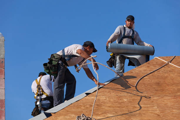 Best Roof Waterproofing Services  in Shell Lake, WI
