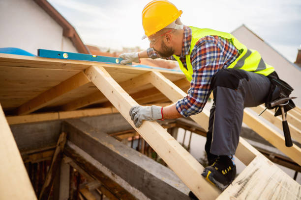 Best Roof Gutter Cleaning  in Shell Lake, WI