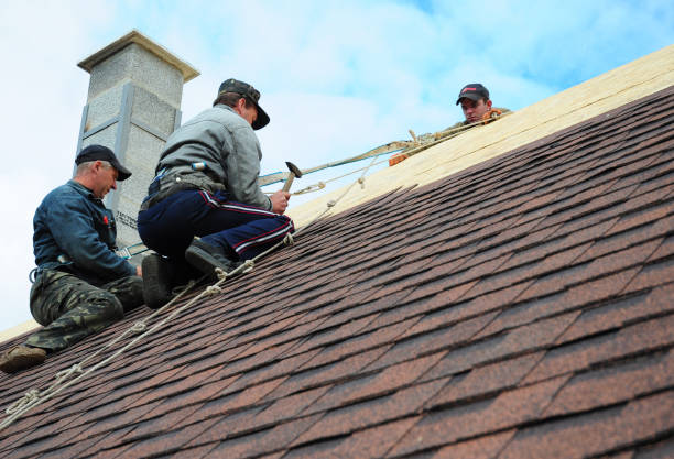 Best Storm Damage Roof Repair  in Shell Lake, WI